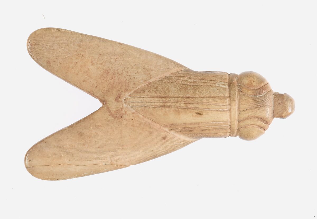 Fly Amulet, Hippopotamus ivory 