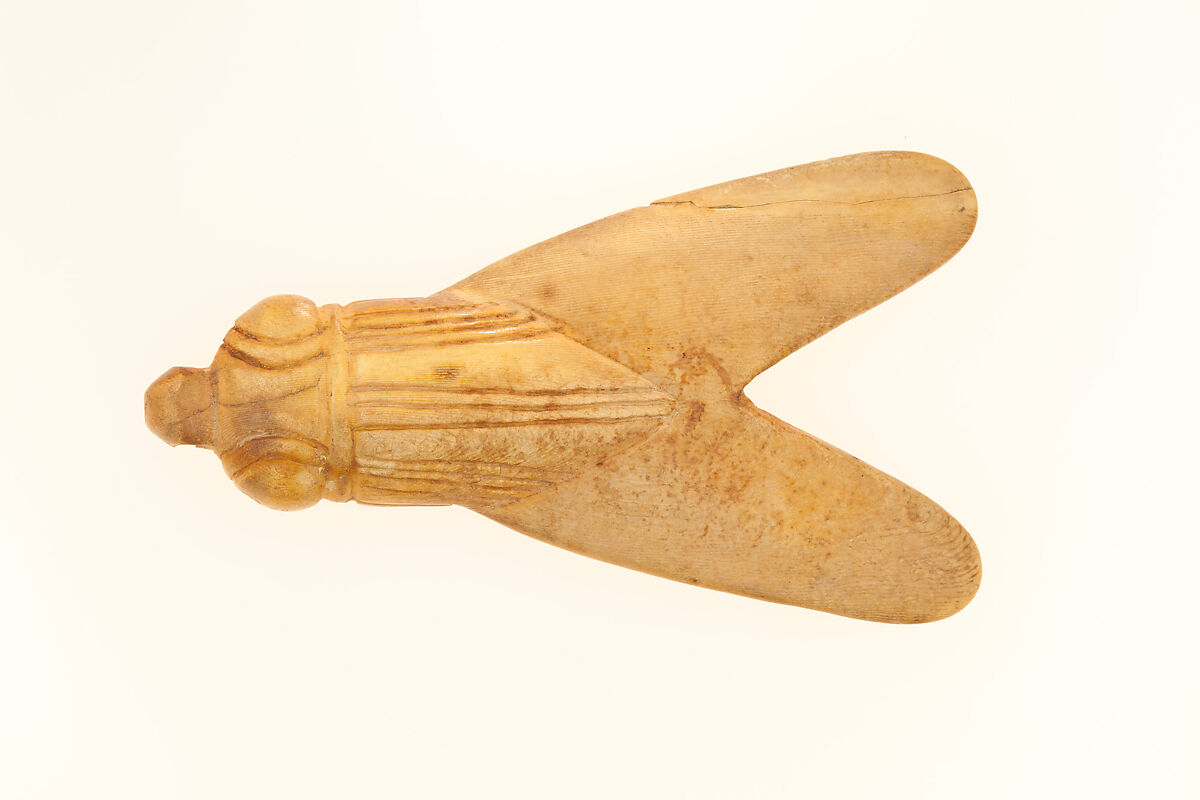 Fly Amulet, Hippopotamus ivory