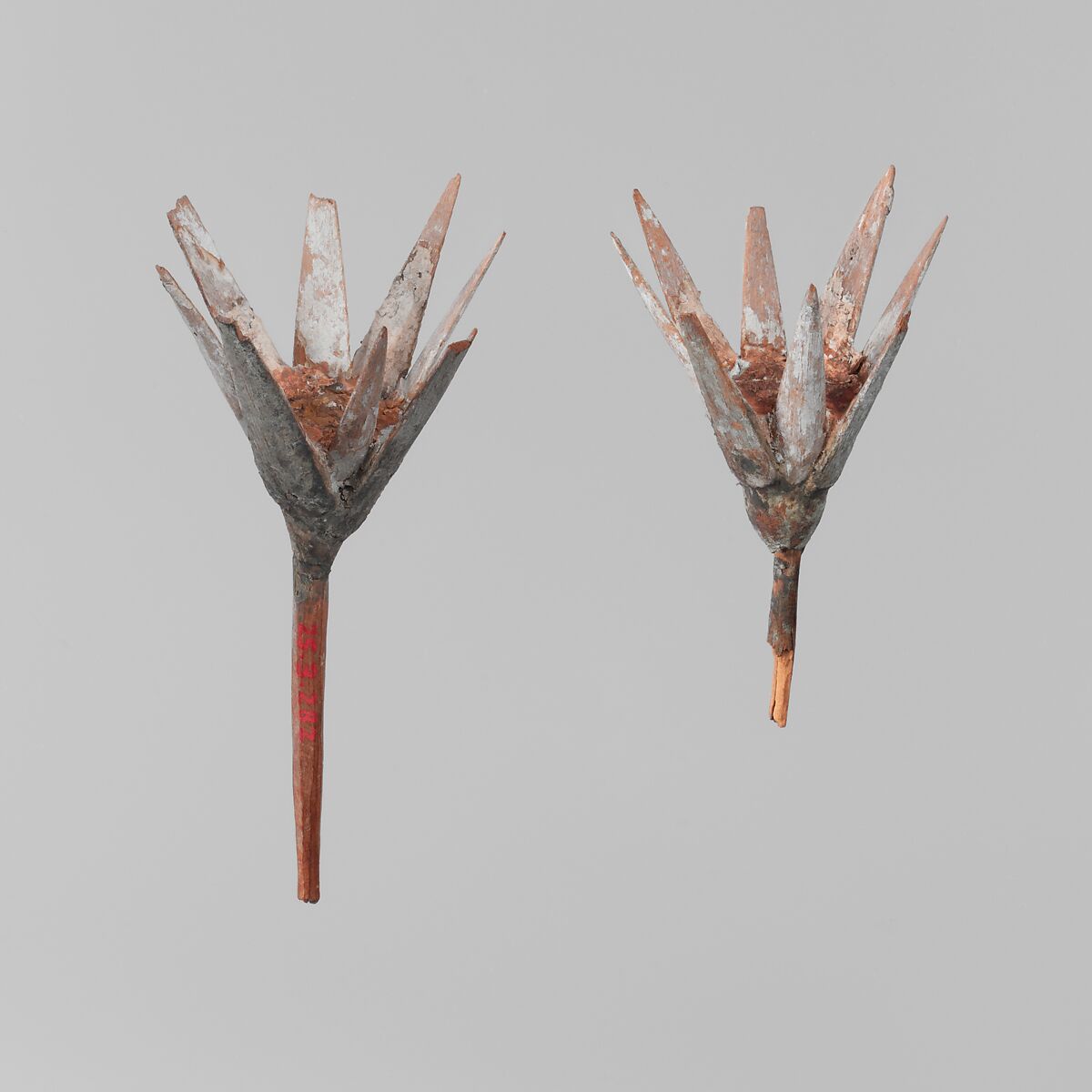 Model Lotus Flower, Painted and plastered wood