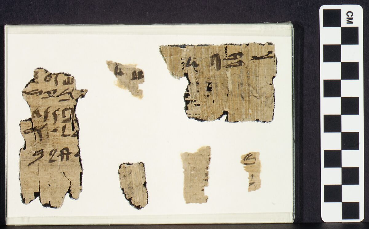 Heqanakht Papyrus Fragments, Papyrus, ink