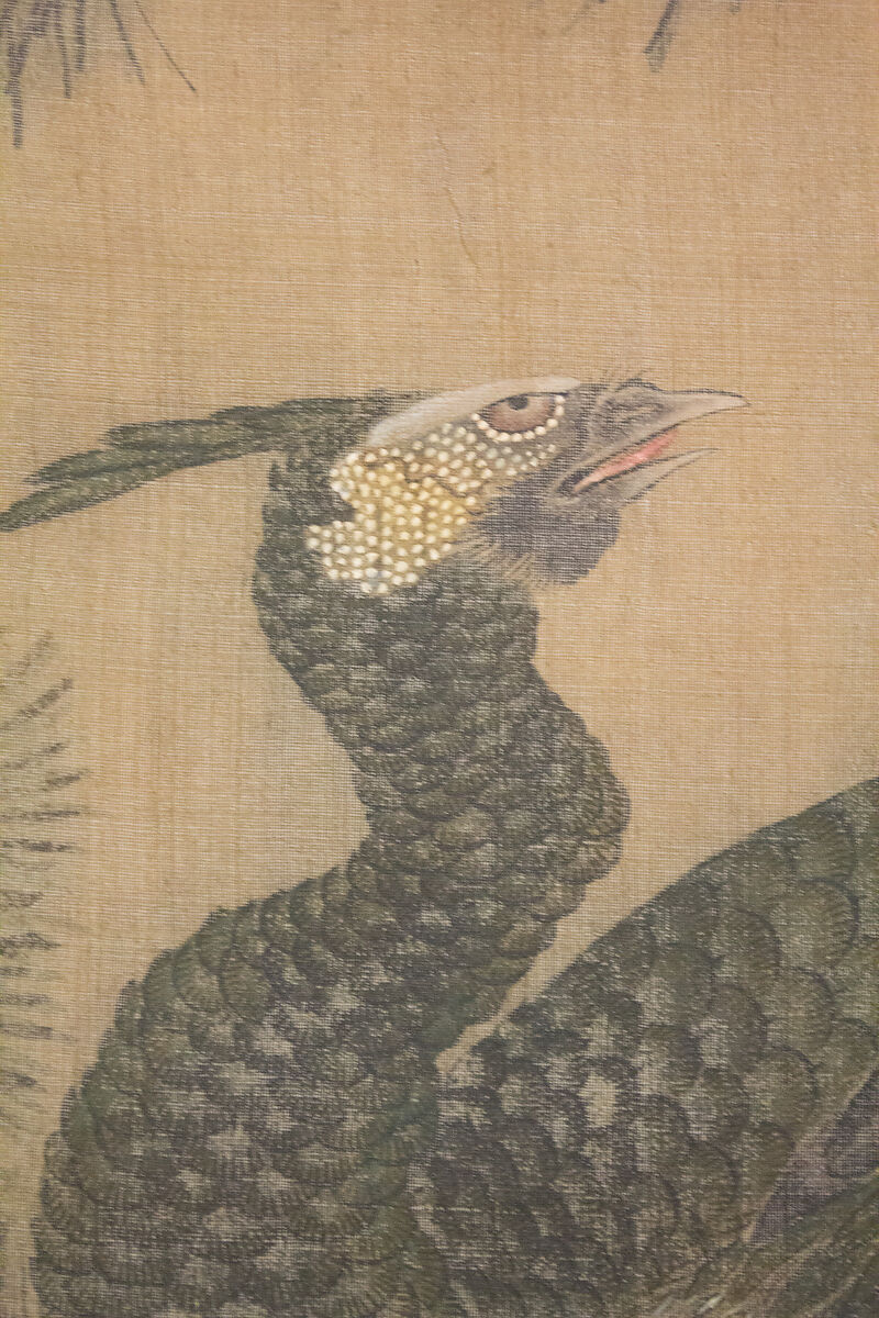 Peacocks, Pine Tree, and Peonies, Style of Lü Ji 呂紀 (Chinese, active late 15th century), Hanging scroll; ink and color on silk, Japan