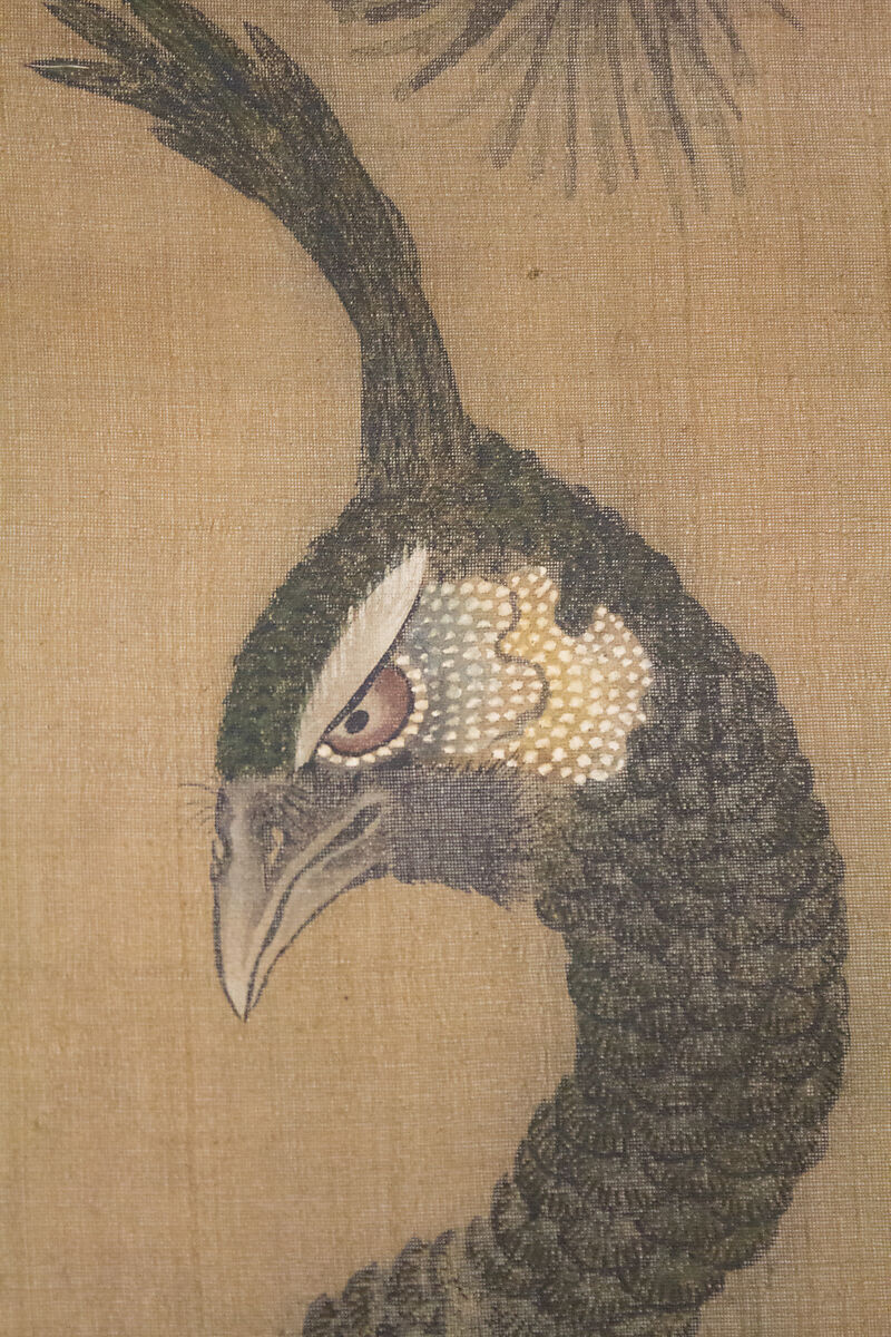 Peacocks, Pine Tree, and Peonies, Style of Lü Ji 呂紀 (Chinese, active late 15th century), Hanging scroll; ink and color on silk, Japan