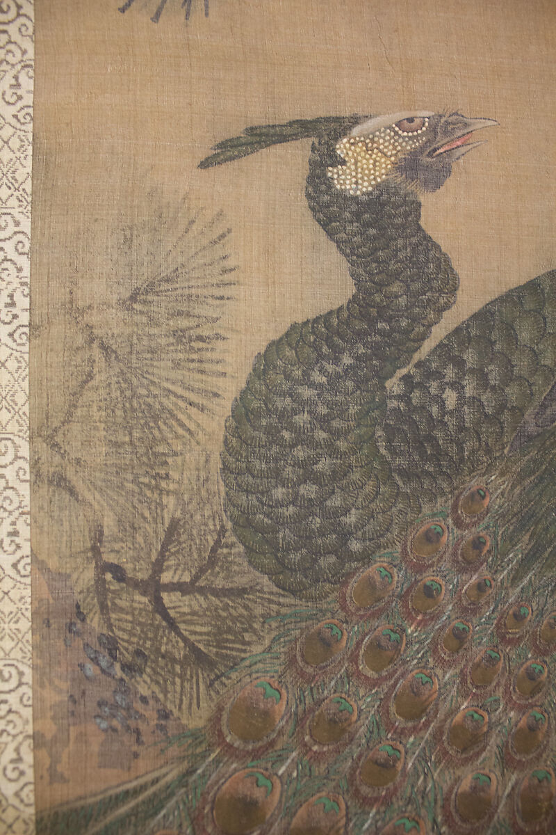 Peacocks, Pine Tree, and Peonies, Style of Lü Ji 呂紀 (Chinese, active late 15th century), Hanging scroll; ink and color on silk, Japan