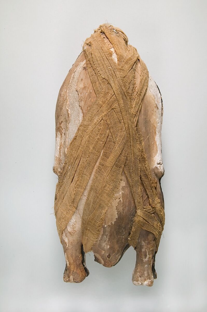 Food Case Probably Containing a Preserved Duck, Wood, plaster, animal remains, bitumen, linen