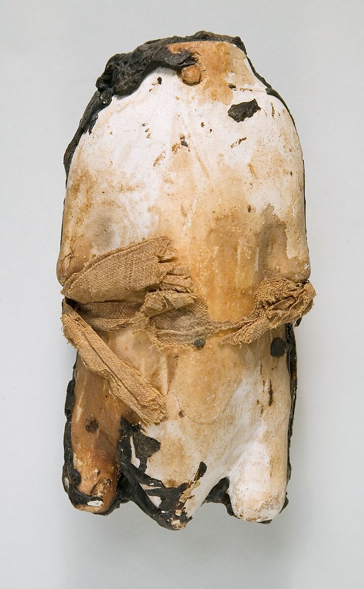 Food Case Probably Containing a Preserved Pigeon, Wood, plaster, animal remains, bitumen, linen