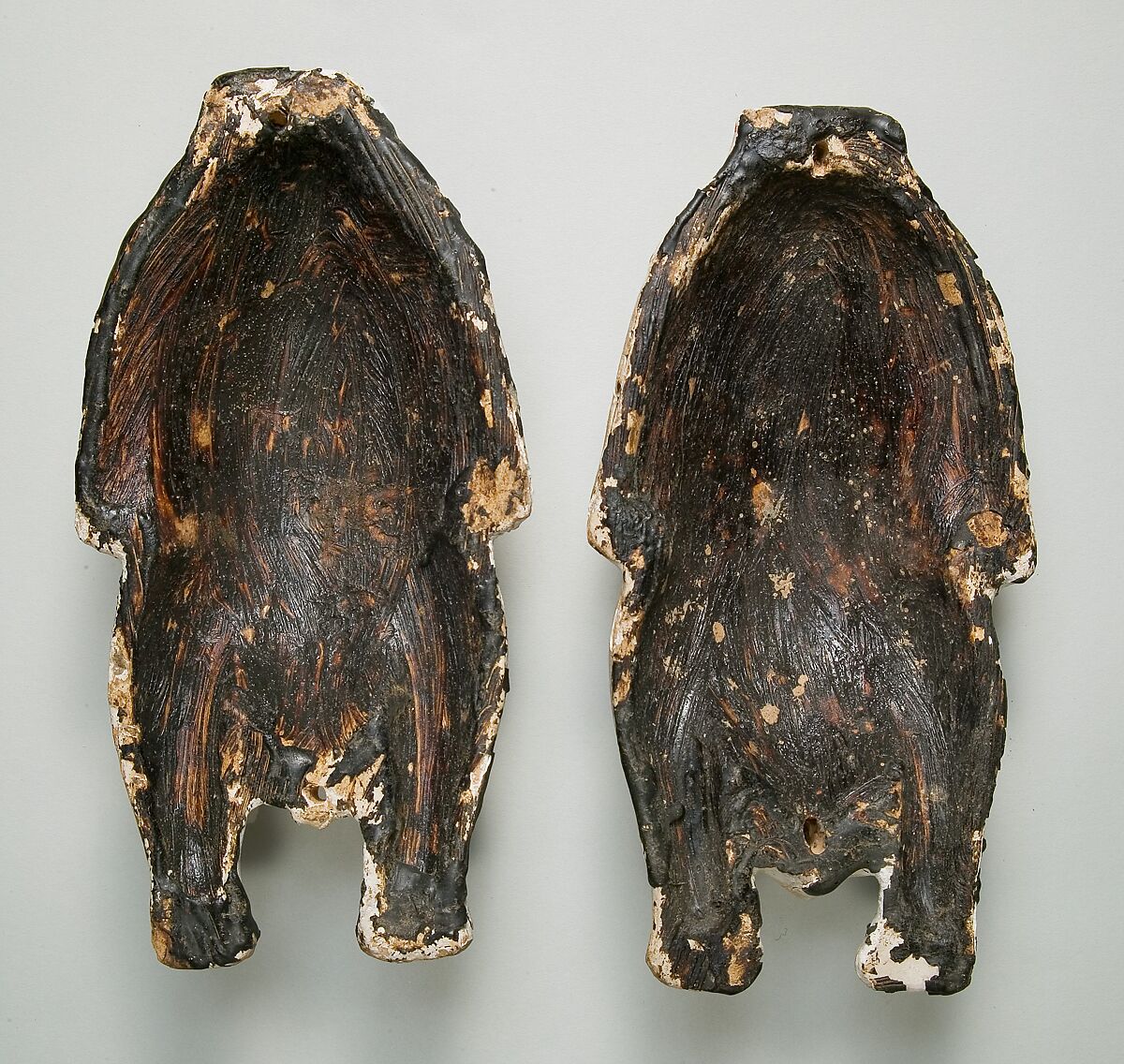 Food Case Probably Containing a Preserved Pigeon, Wood, plaster, bitumen