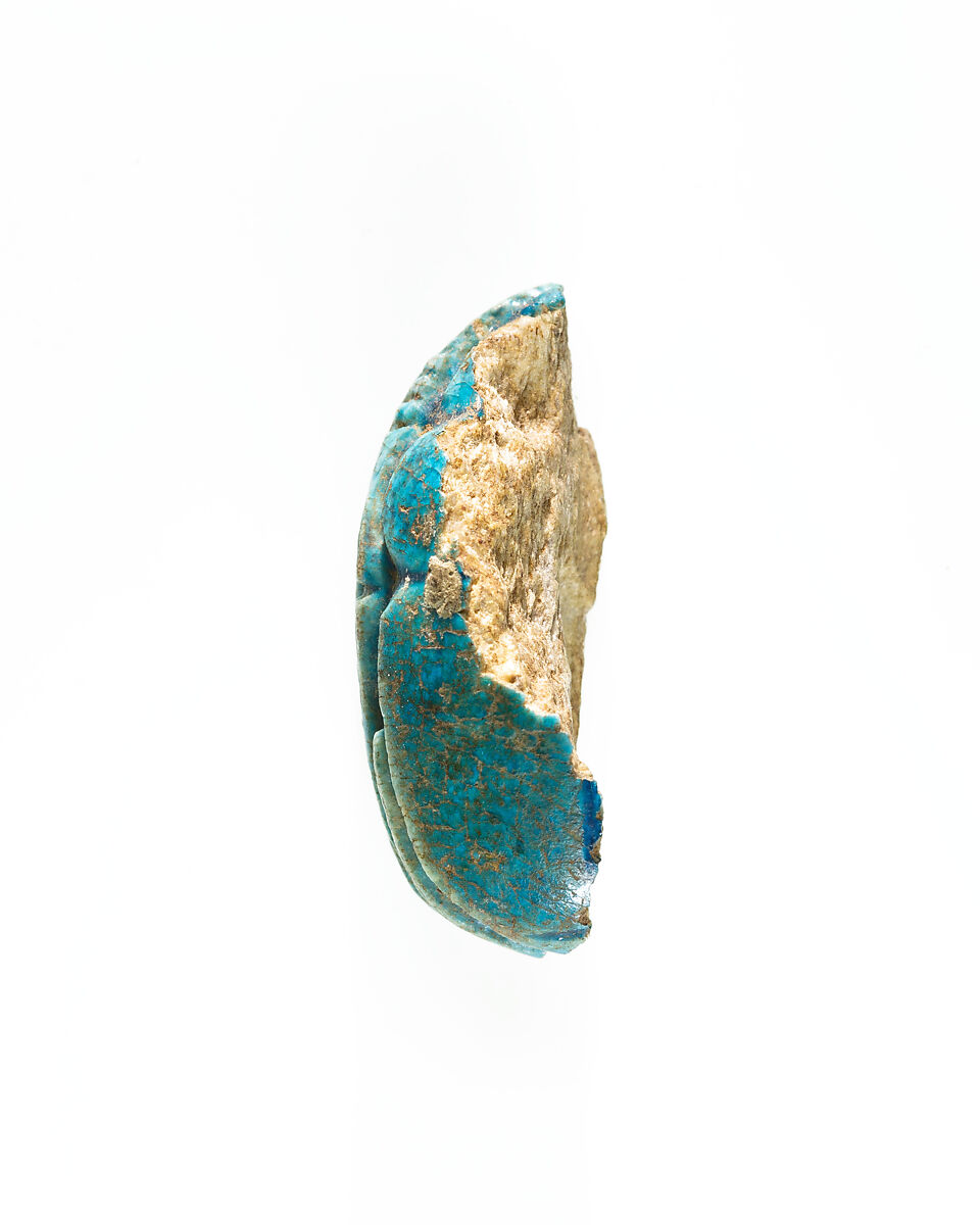 Part of a Scarab Inscribed for Neferhotep I, Bright blue glazed steatite
