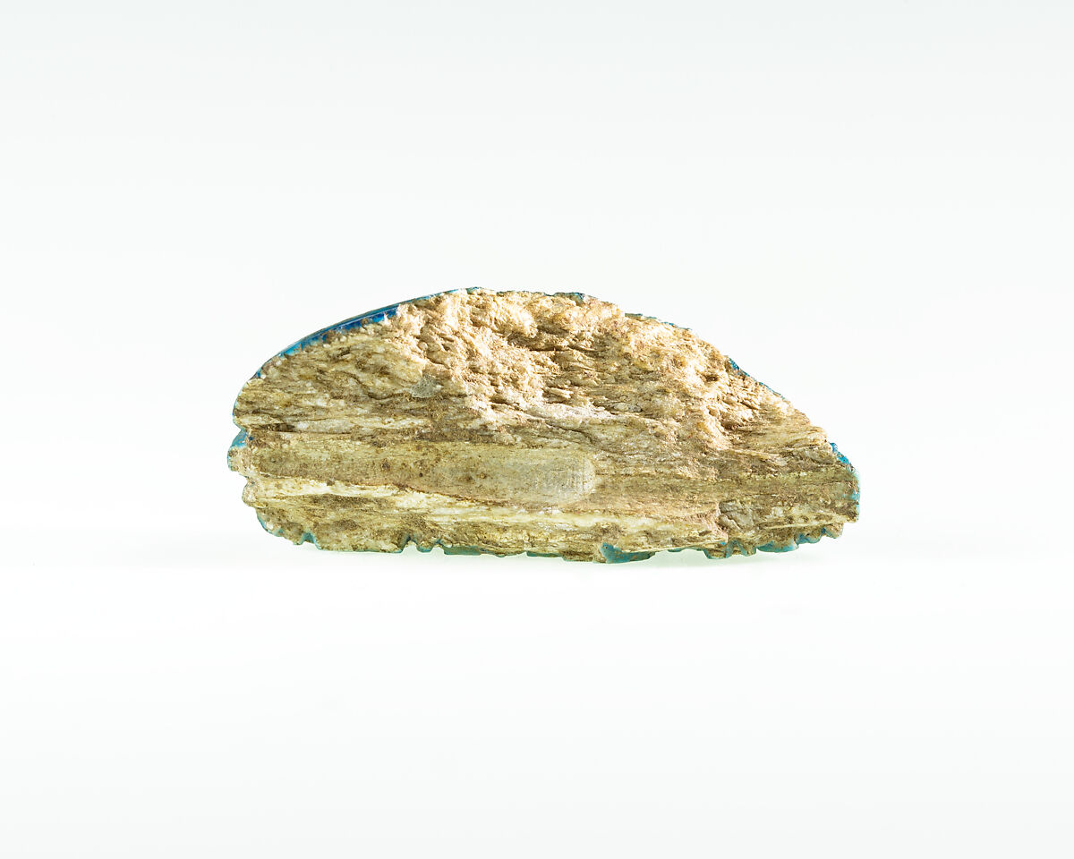 Part of a Scarab Inscribed for Neferhotep I, Bright blue glazed steatite