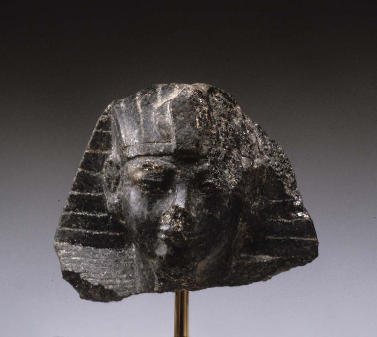 Head from a Statuette of Amenhotep III, Diorite
