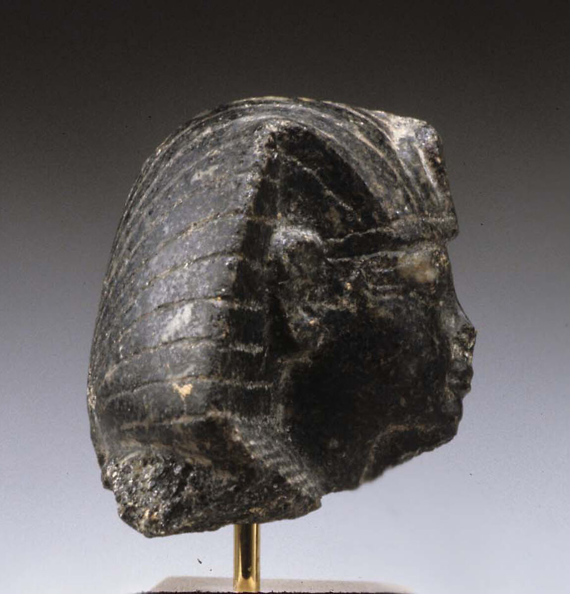 Head from a Statuette of Amenhotep III, Diorite