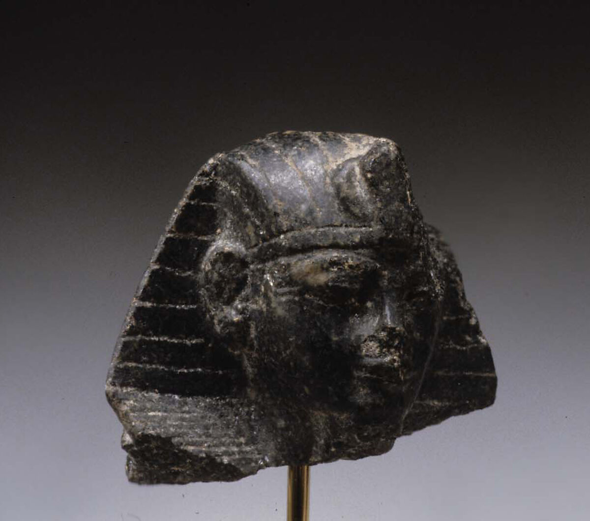 Head from a Statuette of Amenhotep III, Diorite