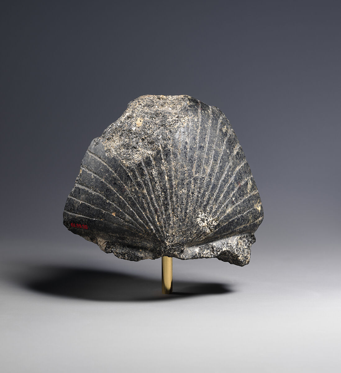 Head from a Statuette of Amenhotep III, Diorite