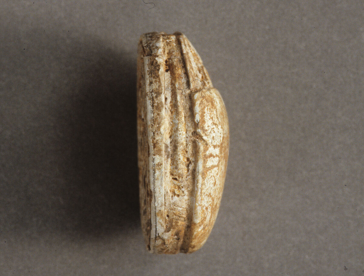 Scarab, Steatite