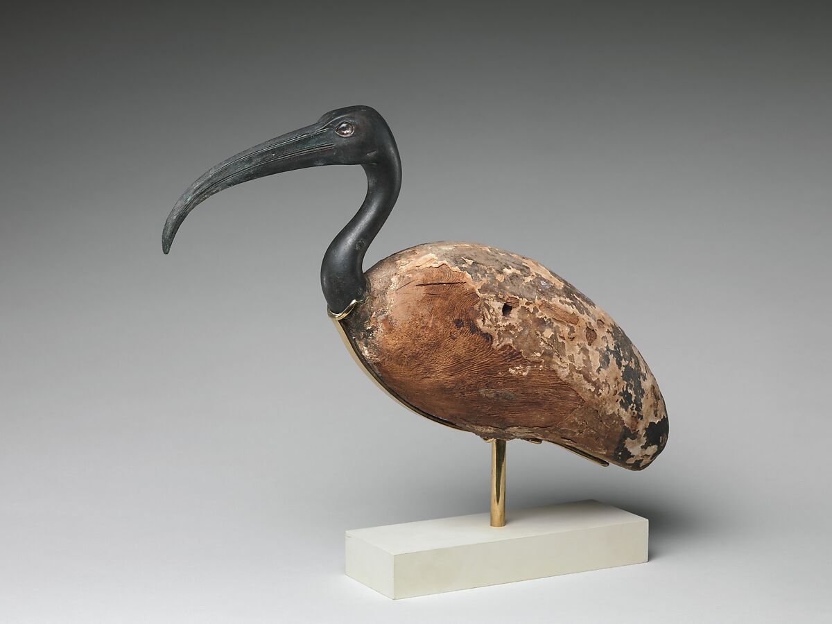 Ibis, Wood, gesso, linen, paint, bronze, glass (eyes)
