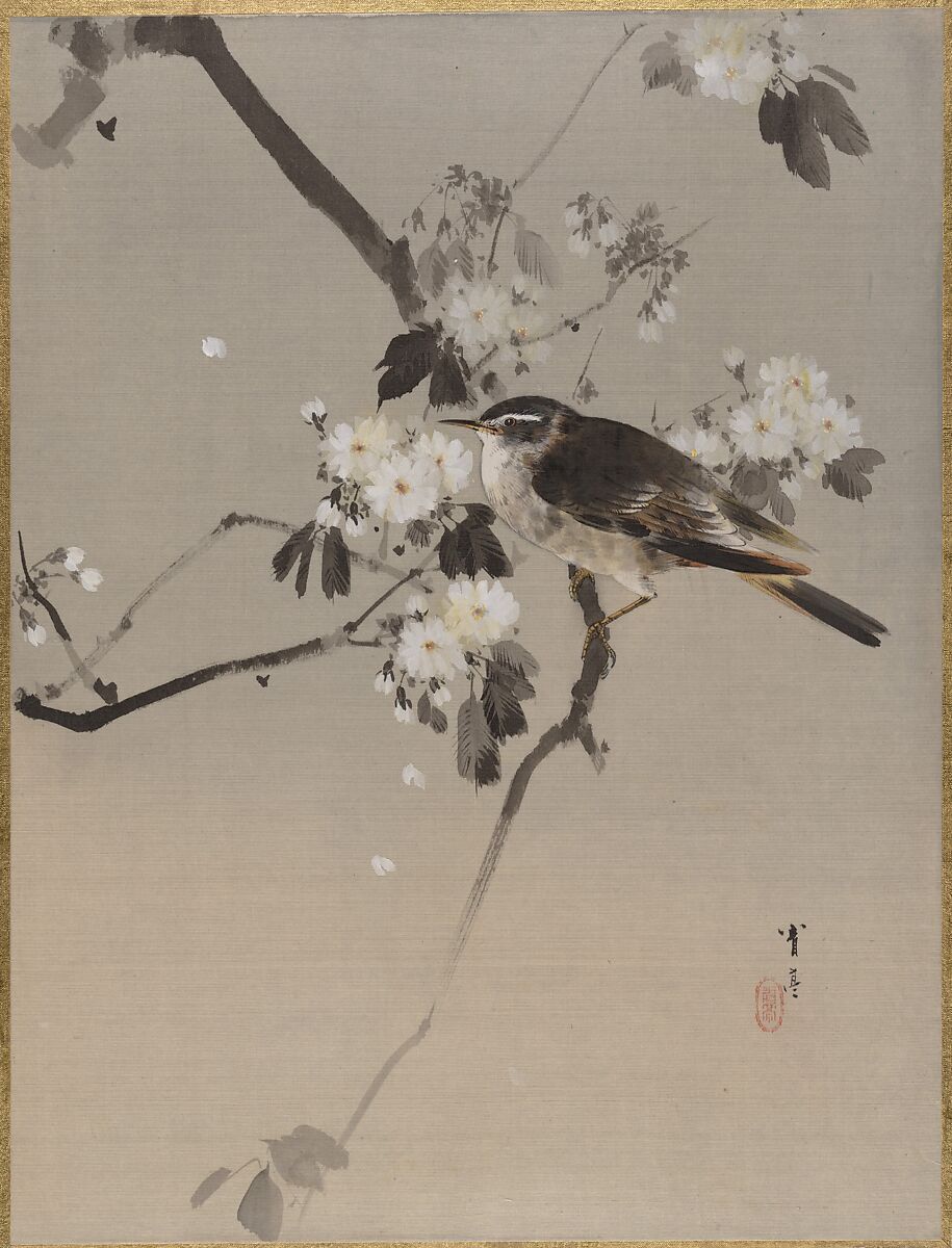 Birds on a Flowering Branch, Watanabe Seitei (Japanese, 1851–1918), Album leaf; ink and color on silk, Japan 