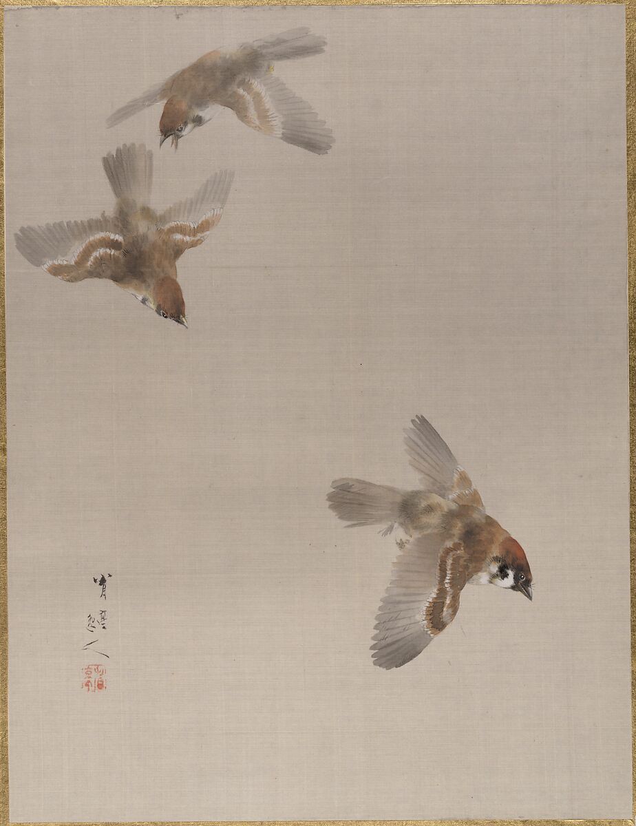 Sparrows Flying, Watanabe Seitei (Japanese, 1851–1918), Album leaf; ink and color on silk, Japan 