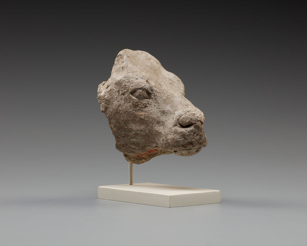 Calf's head, Clay (unfired) 