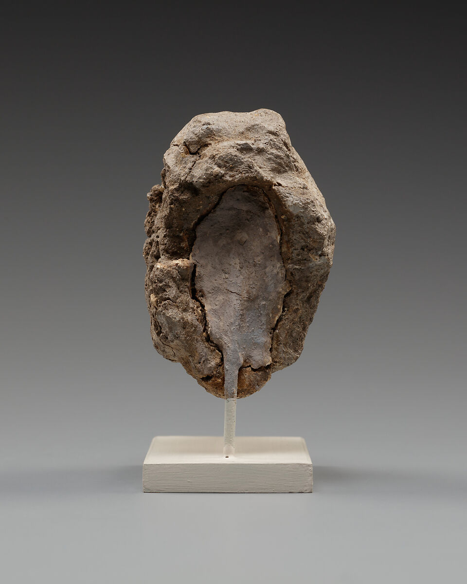 Calf's head, Clay (unfired)