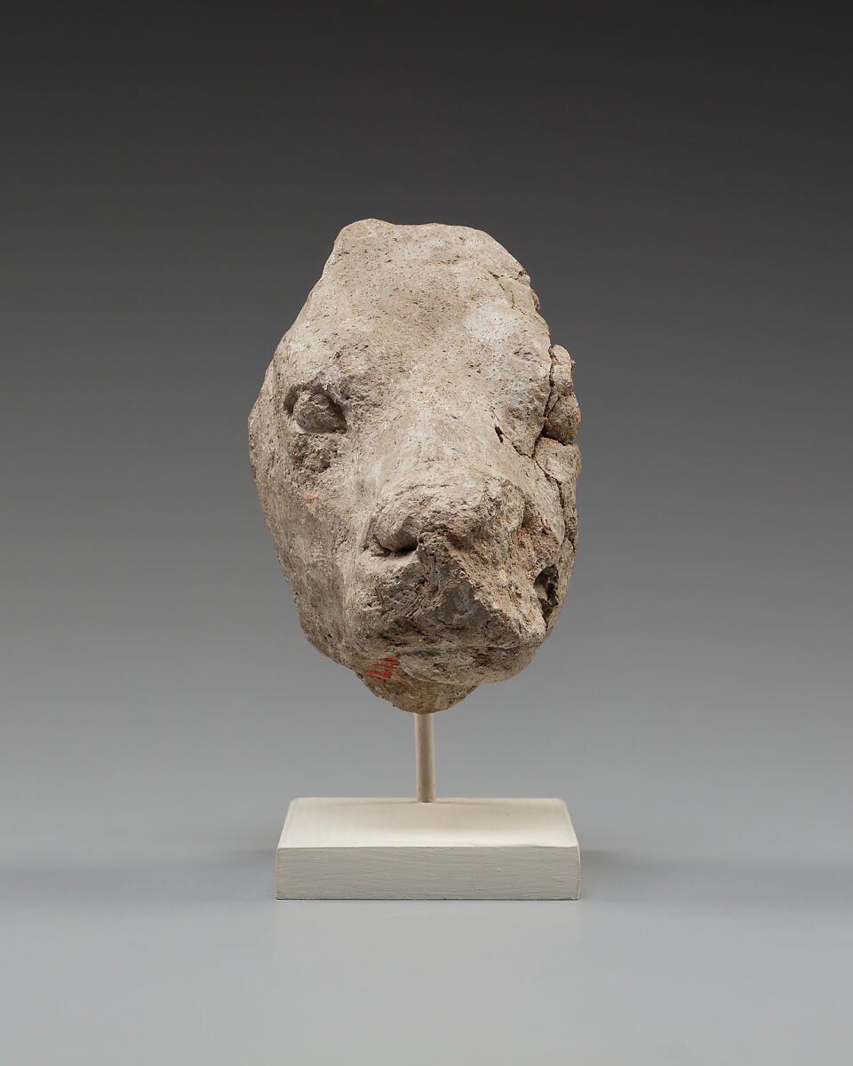 Calf's head, Clay (unfired)