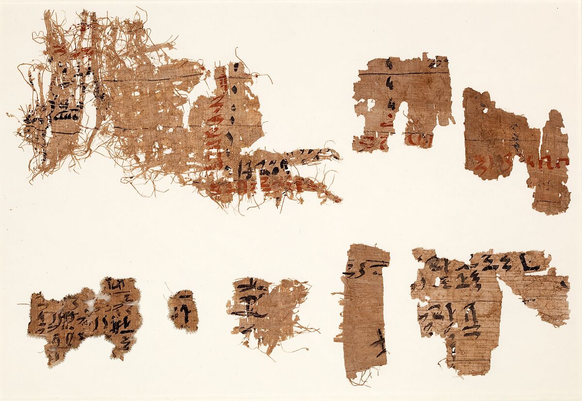 Nine fragments of hieratic text, Papyrus, ink 