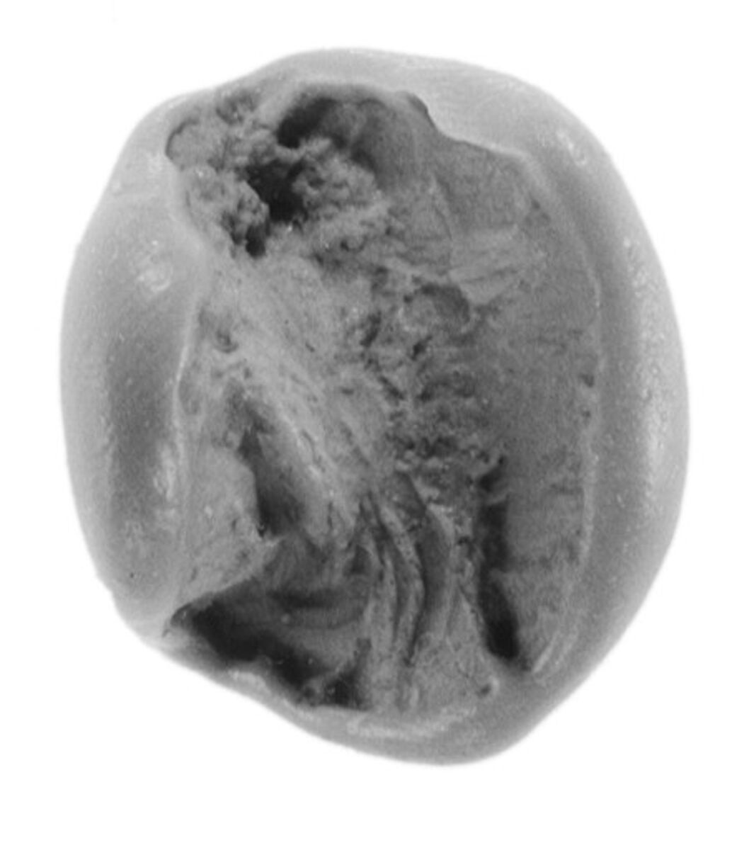 Sealing, Clay (unfired)