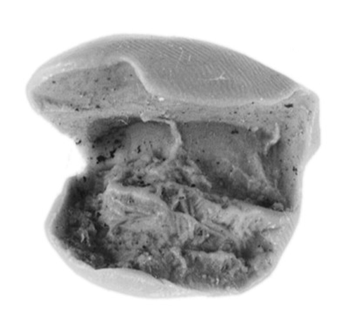 Sealing, Clay (unfired)