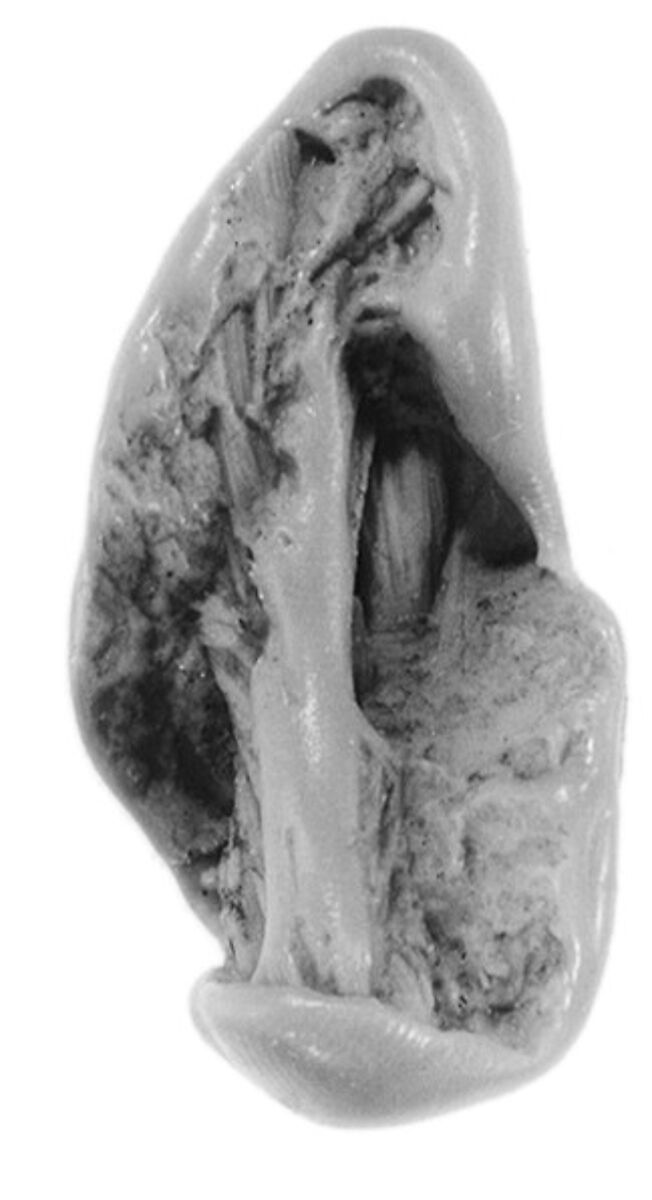 Sealing, Clay (unfired)