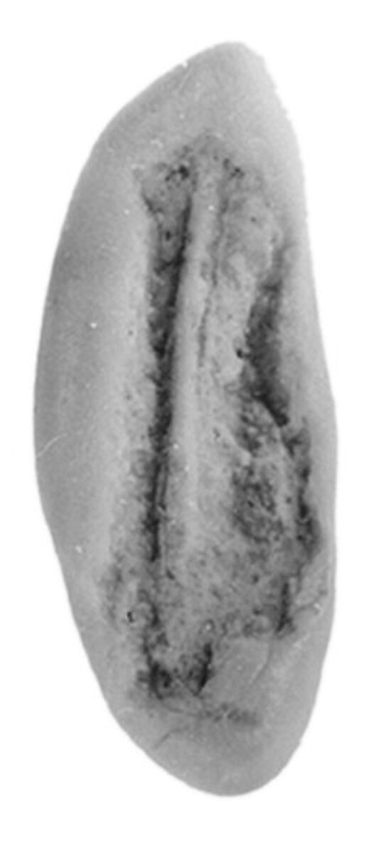 Sealing, Clay (unfired)