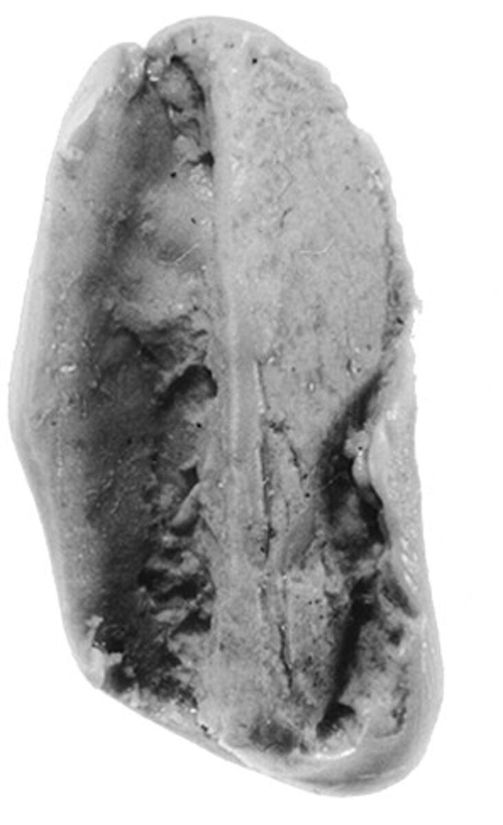 Sealing, Clay (unfired)