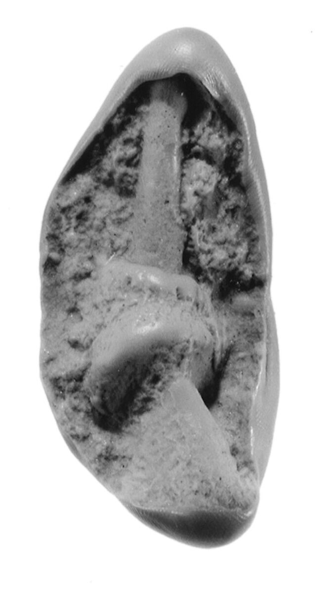 Sealing, Clay (unfired)
