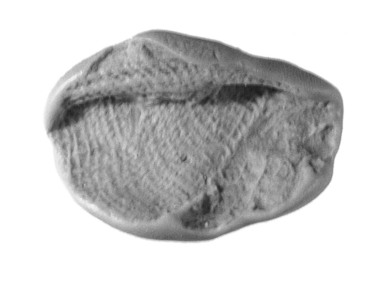 Sealing, Clay (unfired)