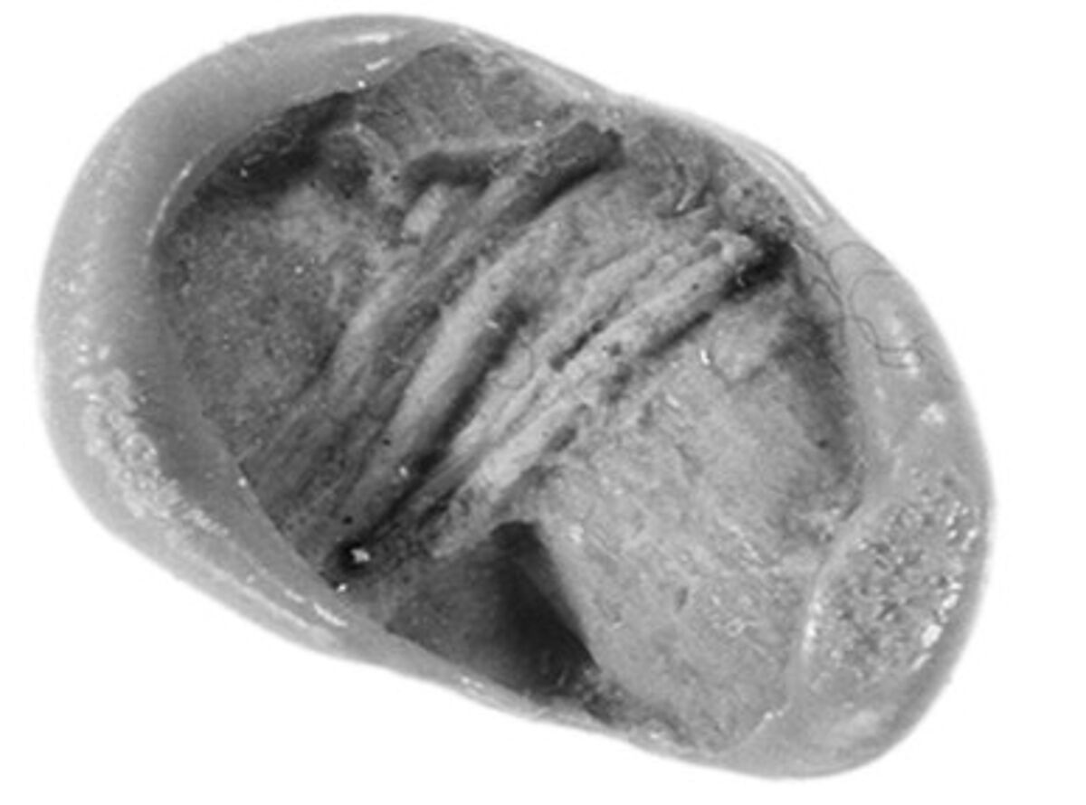 Sealing, Clay (unfired)