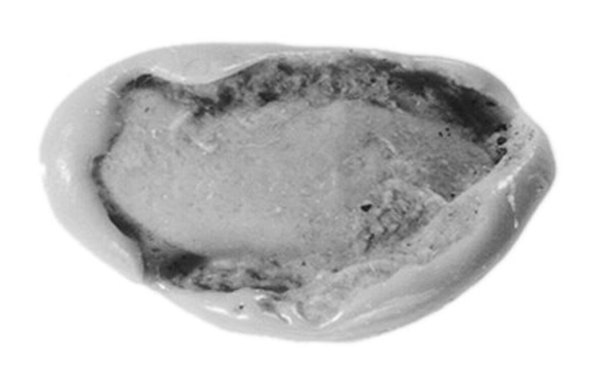 Sealing, Clay (unfired)