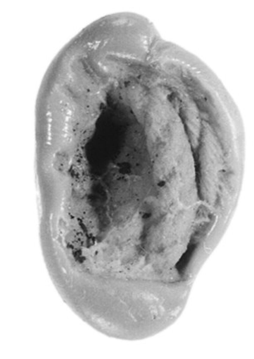 Sealing, Clay (unfired)