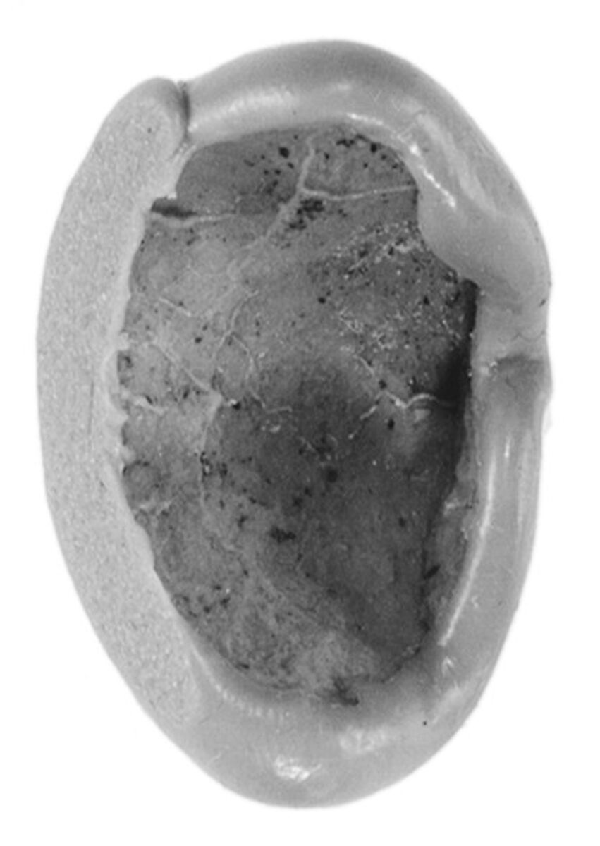 Sealing, Clay (unfired)