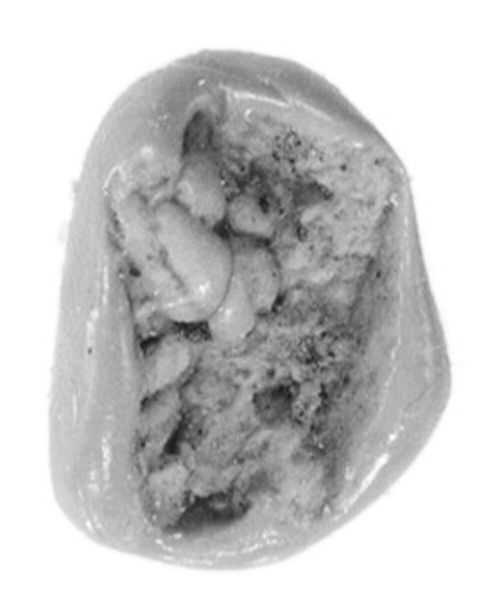 Sealing, Clay (unfired)