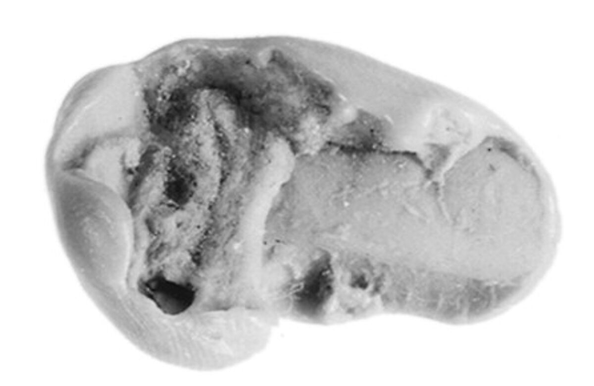 Sealing, Clay (unfired)