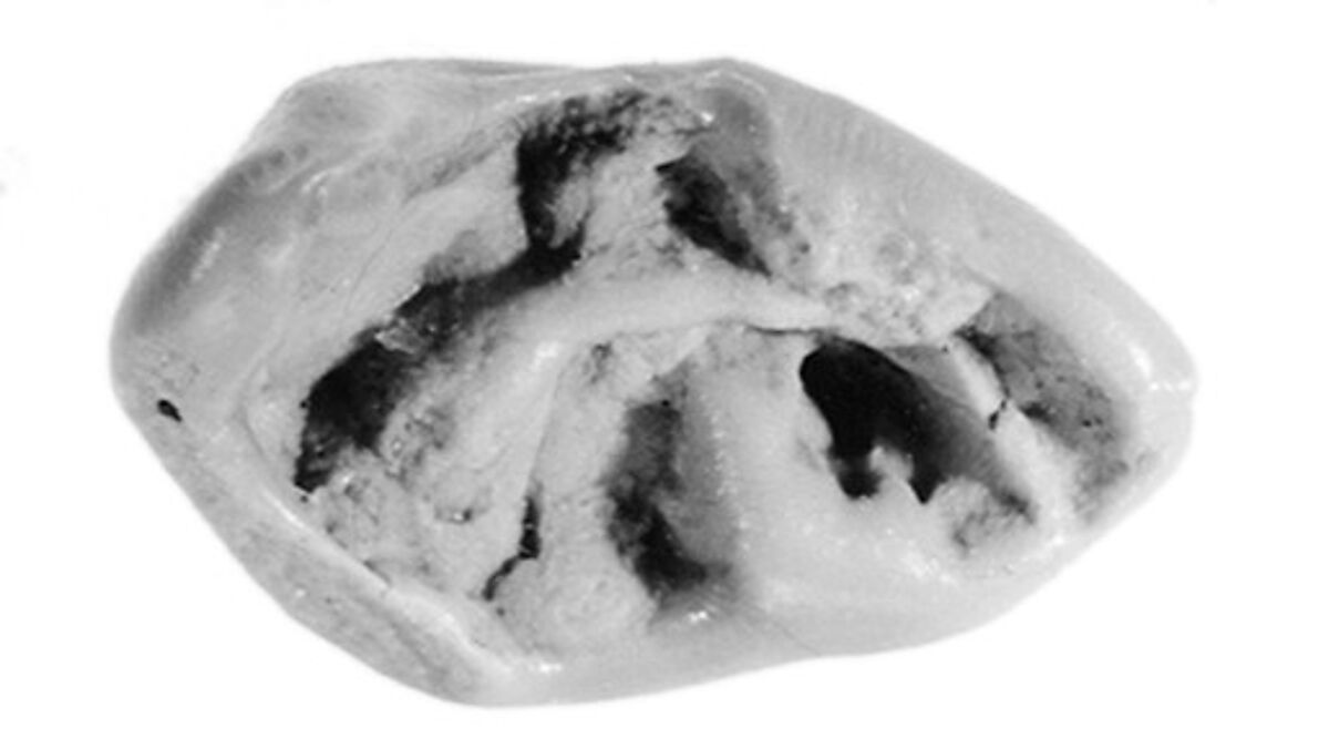 Sealing, Clay (unfired)