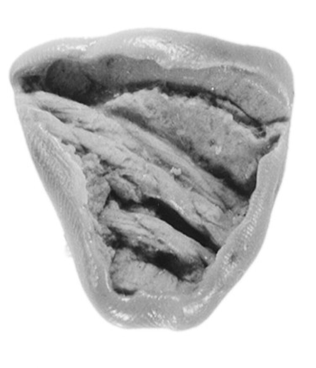 Sealing, Clay (unfired)