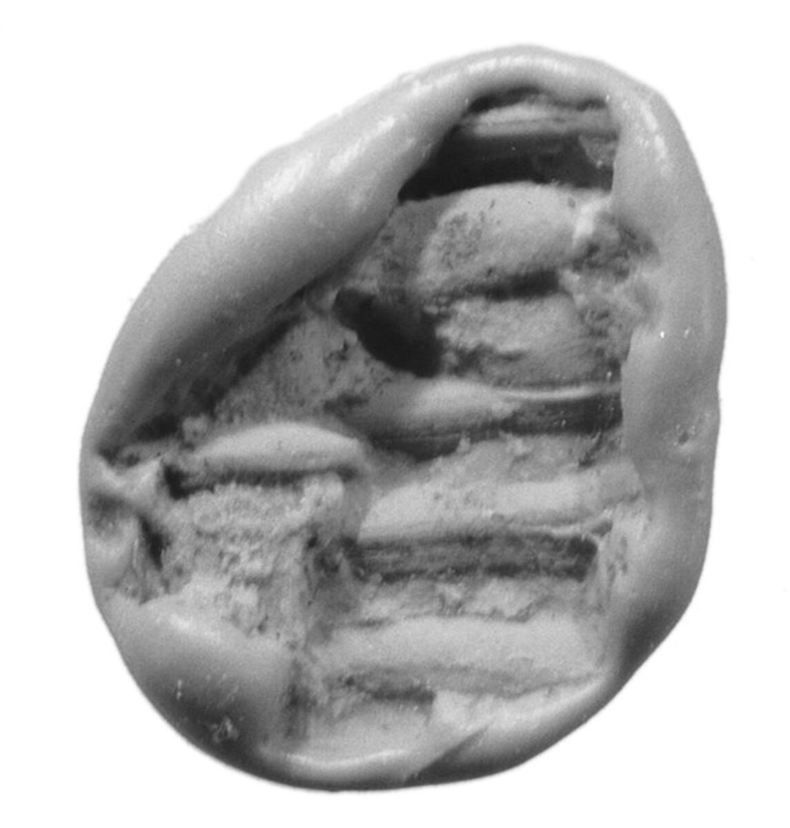 Sealing, Clay (unfired)