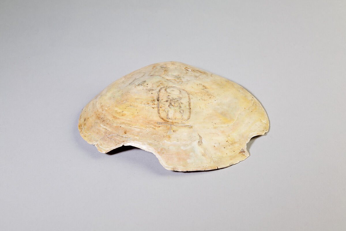 Shell Inscribed with the Cartouche of Senwosret I, Shell (Marine), nacre