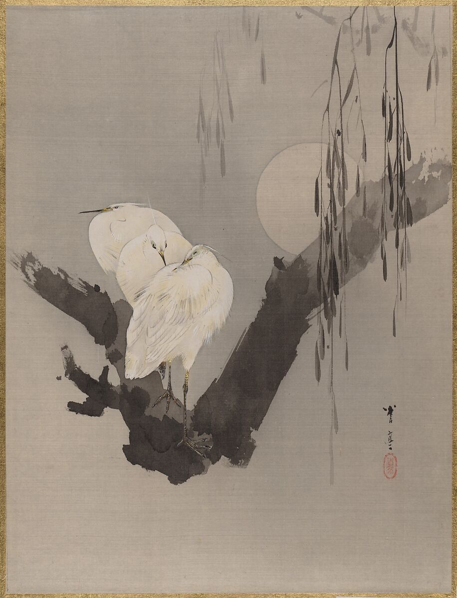 Egrets in a Tree at Night, Watanabe Seitei (Japanese, 1851–1918), Album leaf; ink and color on silk, Japan 