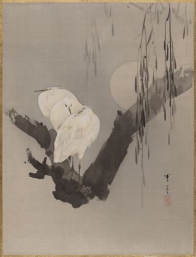 Egrets in a Tree at Night