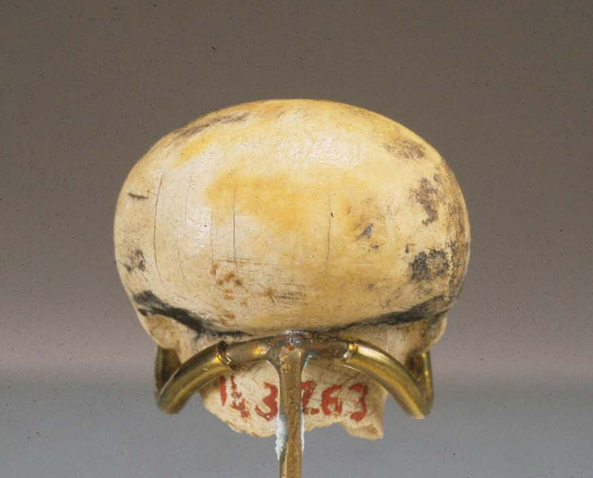 Head of statuette, Ivory, paint