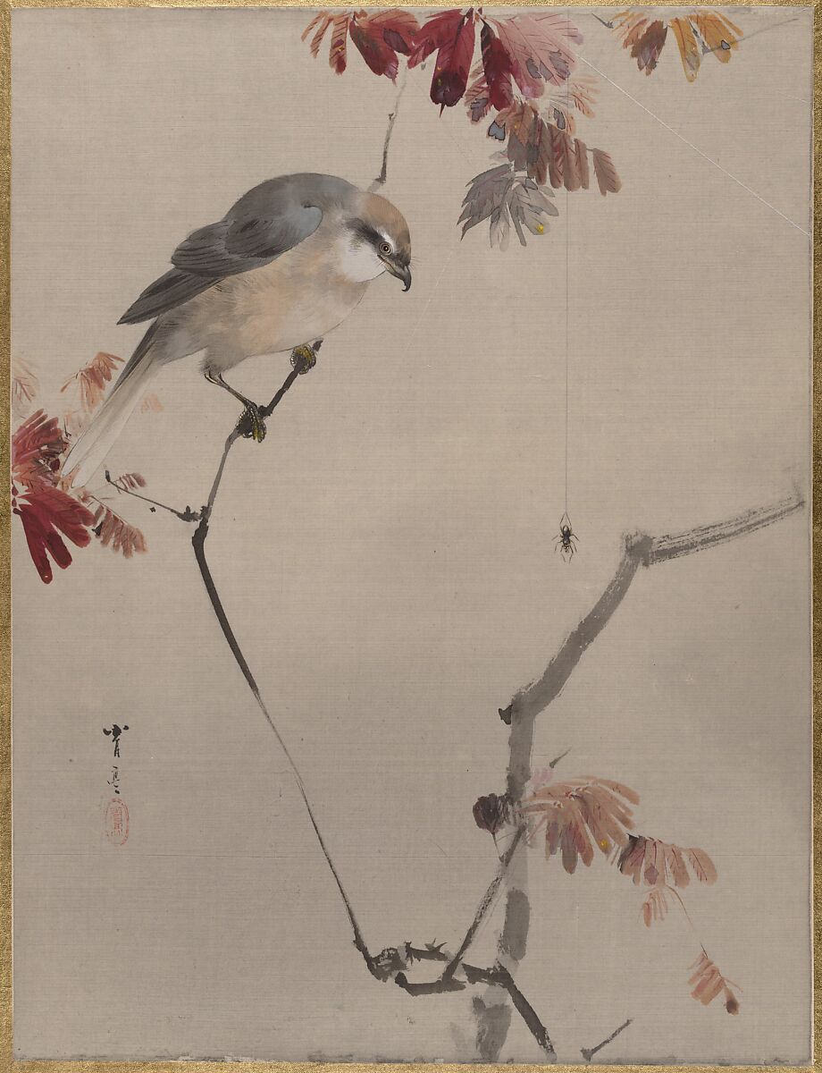 Bird on Branch Watching Spider, Watanabe Seitei (Japanese, 1851–1918), Album leaf; ink and color on silk, Japan 