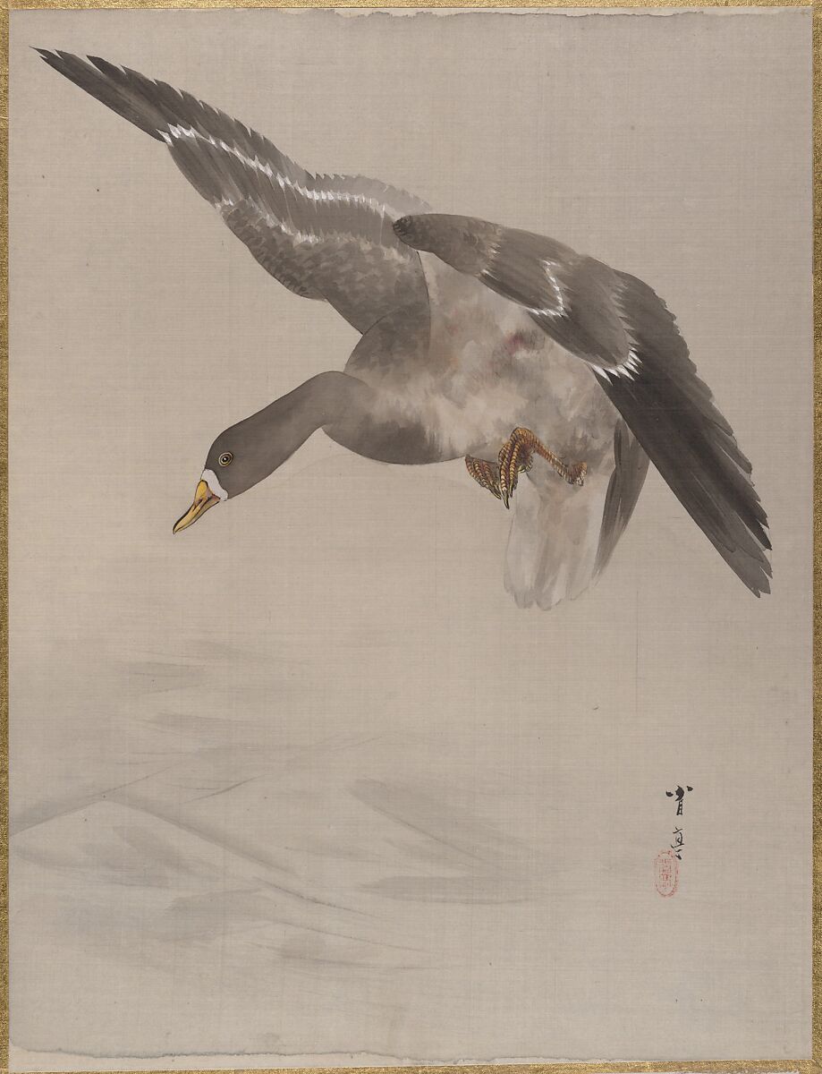 Duck, Watanabe Seitei (Japanese, 1851–1918), Album leaf; ink and color on silk, Japan 