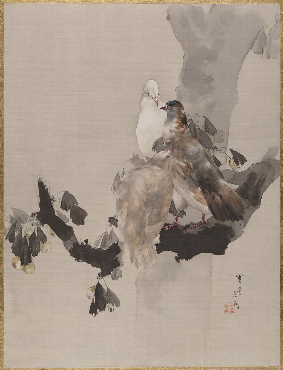 Pigeons in a Tree, Watanabe Seitei (Japanese, 1851–1918), Album leaf; ink and color on silk, Japan 