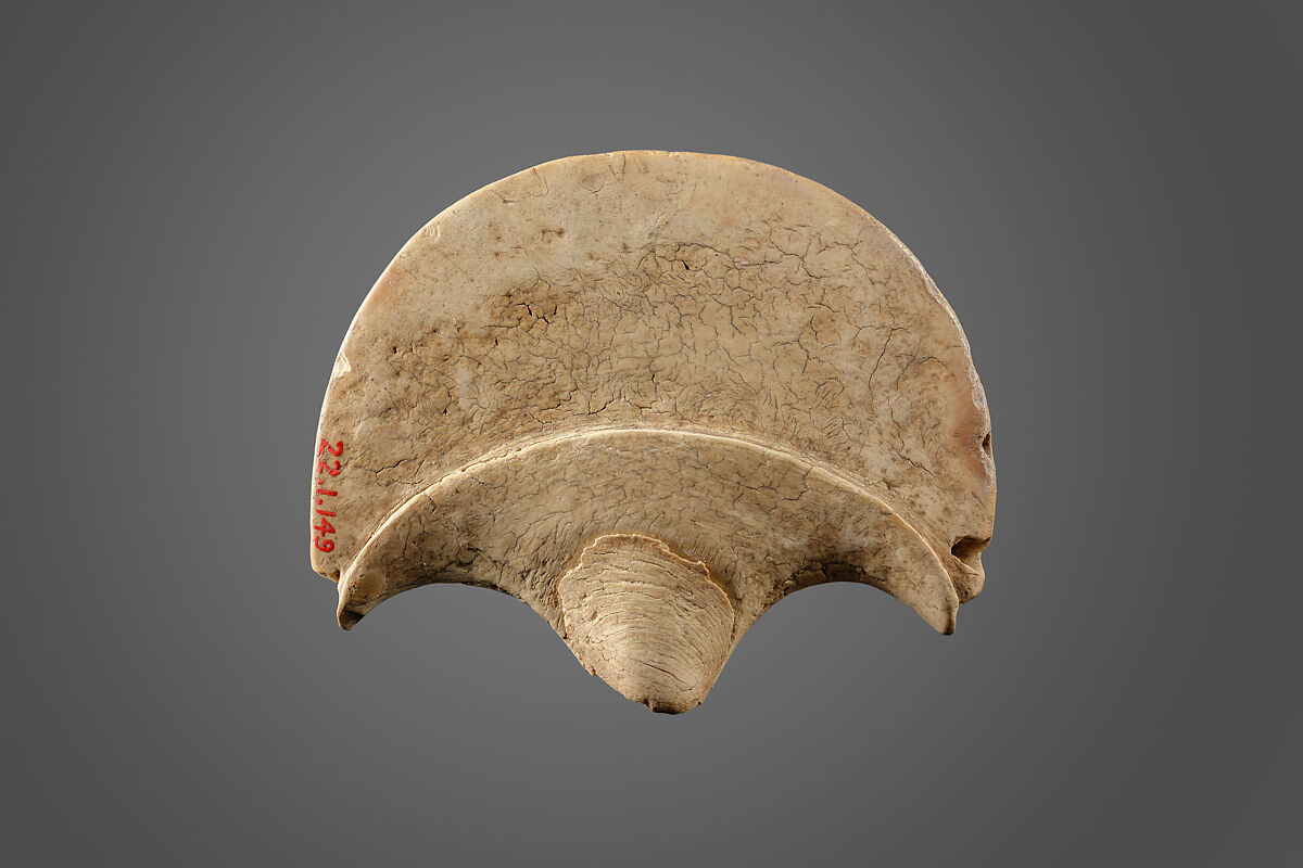 The upper portion from a palmiform-shaped fan, Ivory
