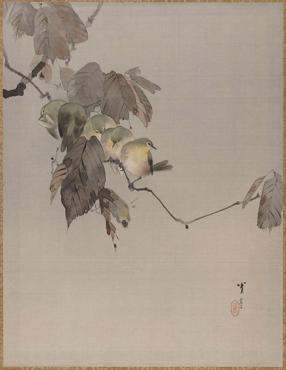 Birds on a Branch, Watanabe Seitei (Japanese, 1851–1918), Album leaf; ink and color on silk, Japan 