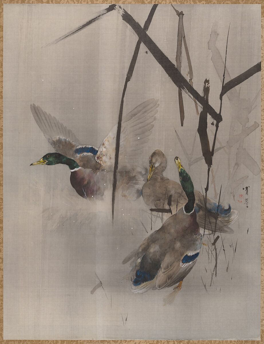 Ducks in the Rushes, Watanabe Seitei (Japanese, 1851–1918), Album leaf; ink and color on silk, Japan 